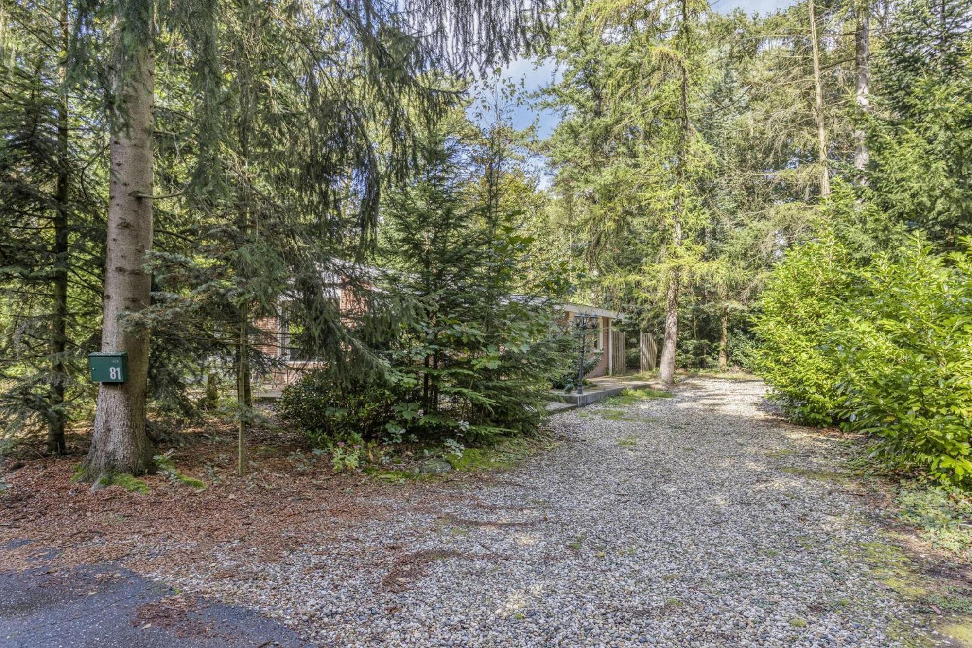 Relaxen In Het Bos Met Privesauna Holten Exterior foto